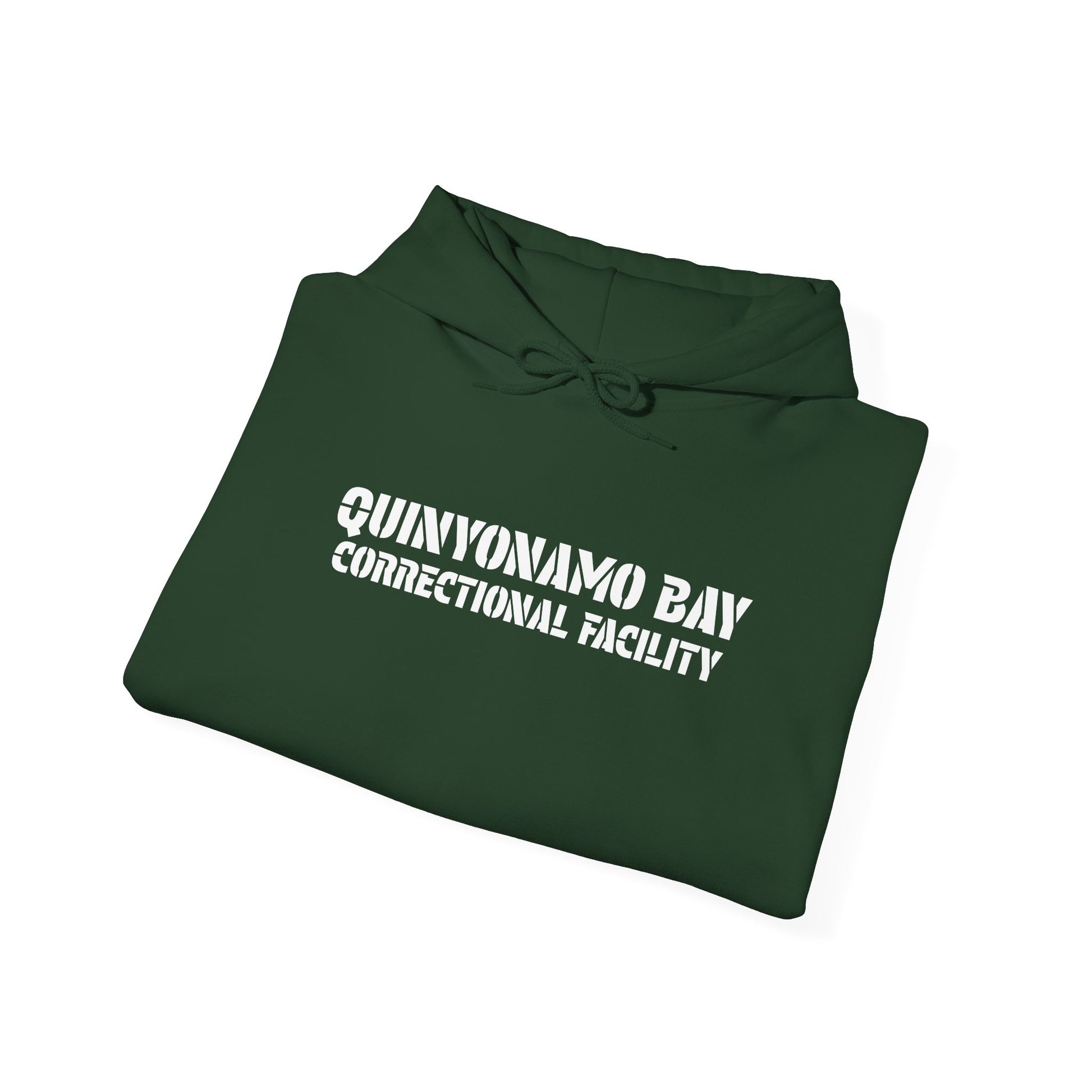 Quinyonamo Bay Philadelphia Eagles Hoodie Sweatshirt, Fan Gift, Quinyon Mitchell