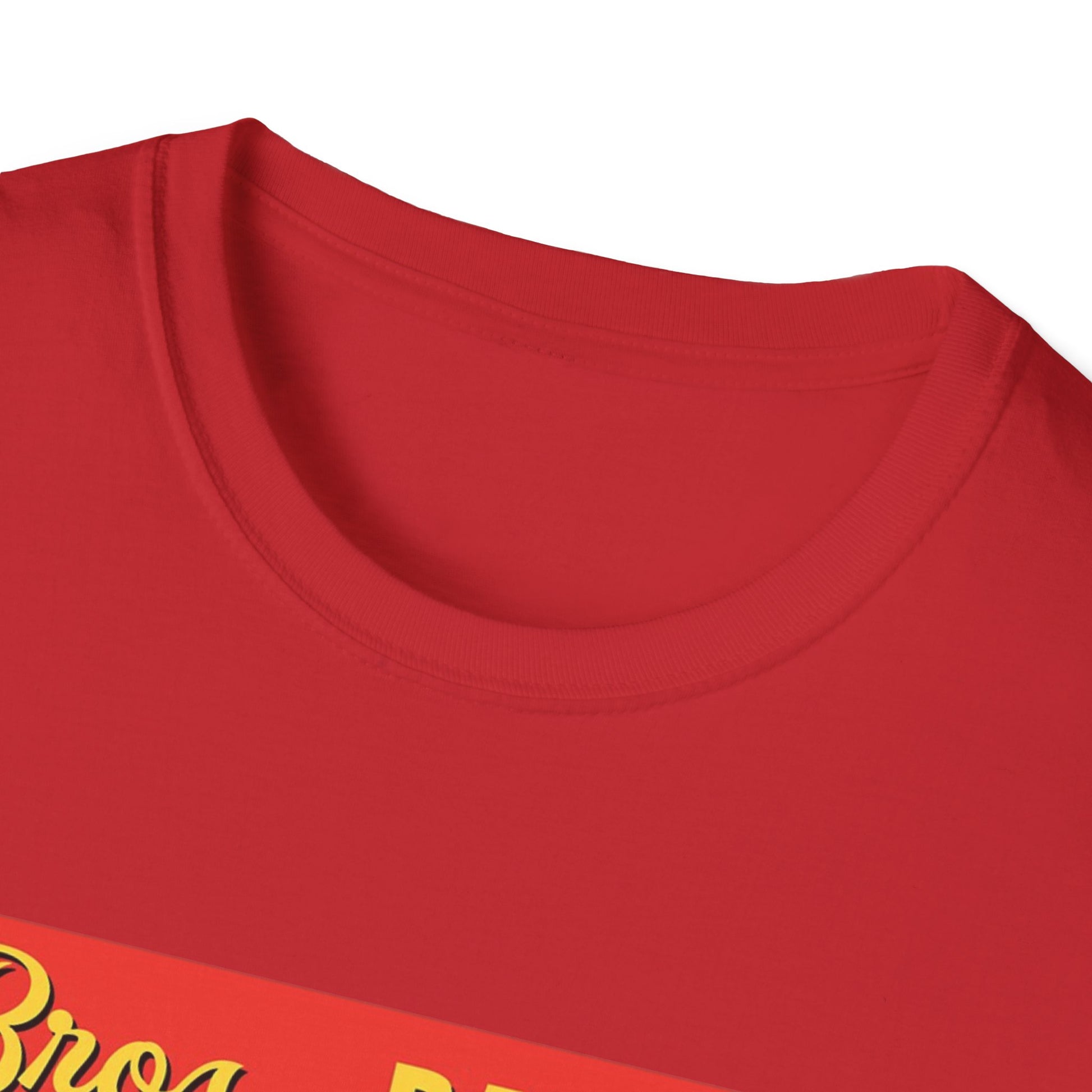 Funny Bro's BBQ Friday After Next Unisex Softstyle T-Shirt, Funny Shirt Tee Gift