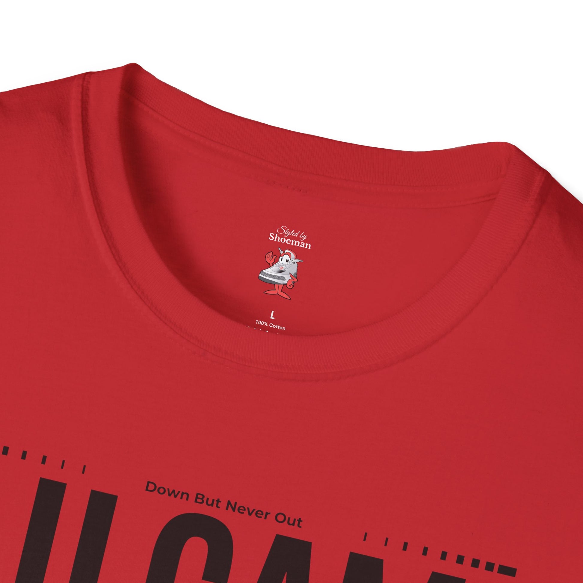 Air Jordan Retro 12 Flu Game Matching Shirt Black And Red T-Shirt Sneaker Match
