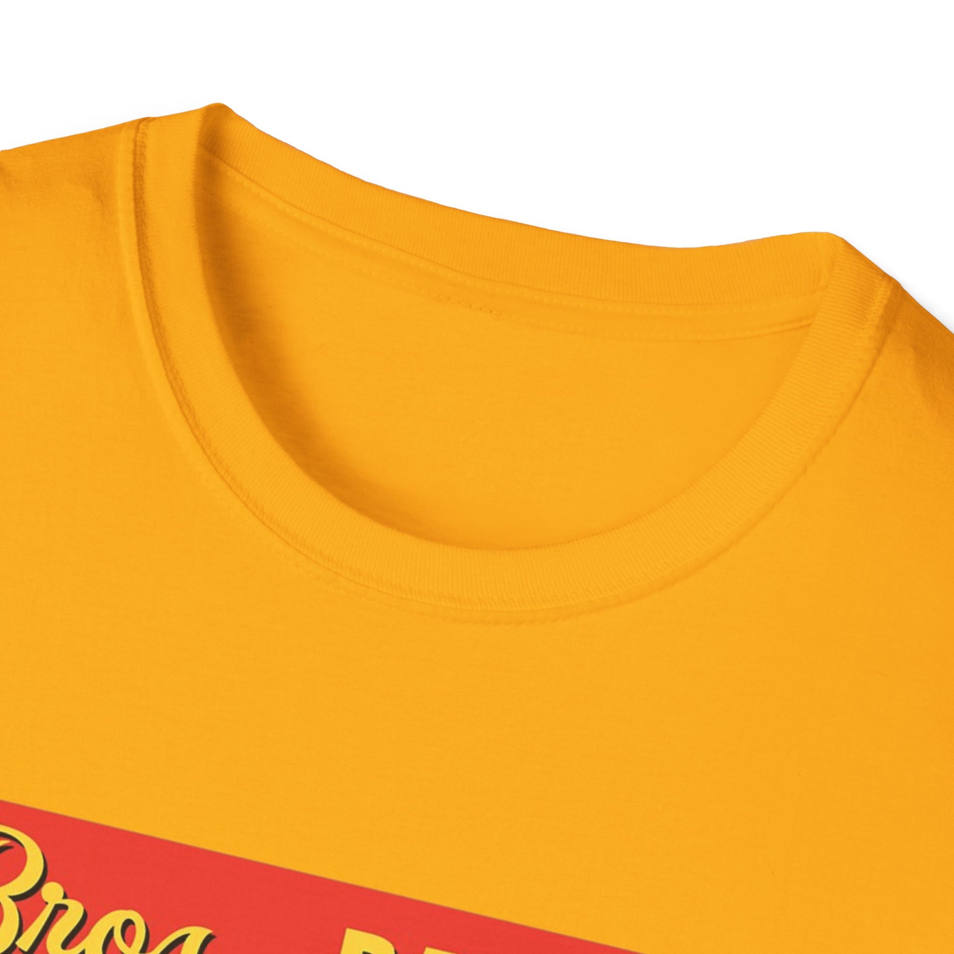 Funny Bro's BBQ Friday After Next Unisex Softstyle T-Shirt, Funny Shirt Tee Gift